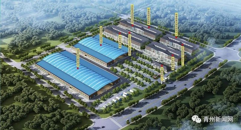 126.1億元！開工！青州迎大發(fā)展...(圖11)