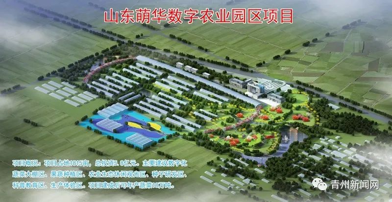 126.1億元！開工！青州迎大發(fā)展...(圖23)